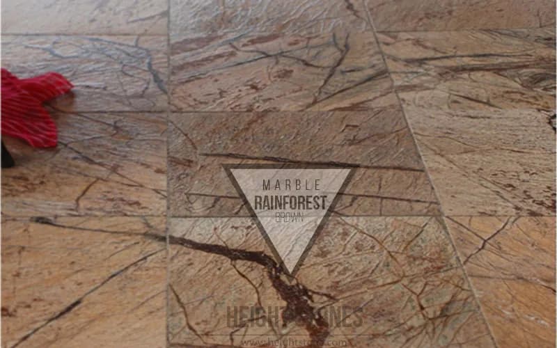 Rainforest Brown Marble Tiles Slabs